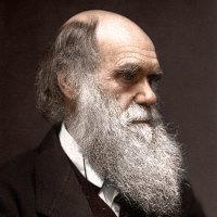 Darwin reference
